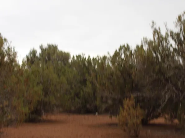 Sec 8 T11n R22e Port Of Sur Parcel 3, White Mountain Lake, AZ 85912