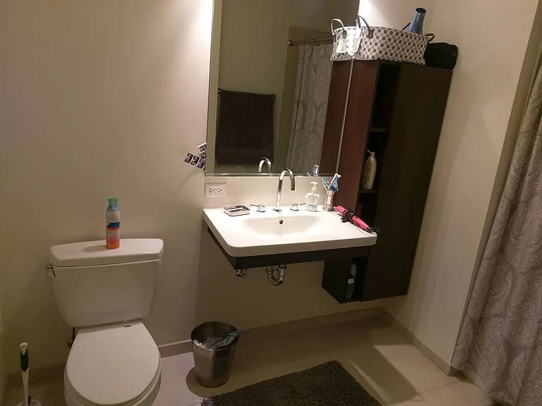 1345 S Wabash Ave #908 — Photo 14