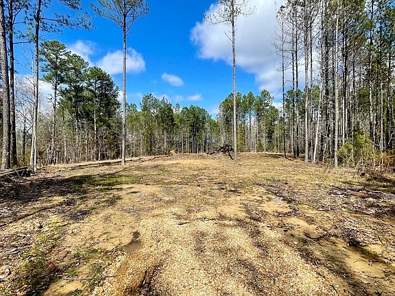 Fentress Panhandle Rd, Mccool, MS 39108 | MLS #24-556 | Zillow