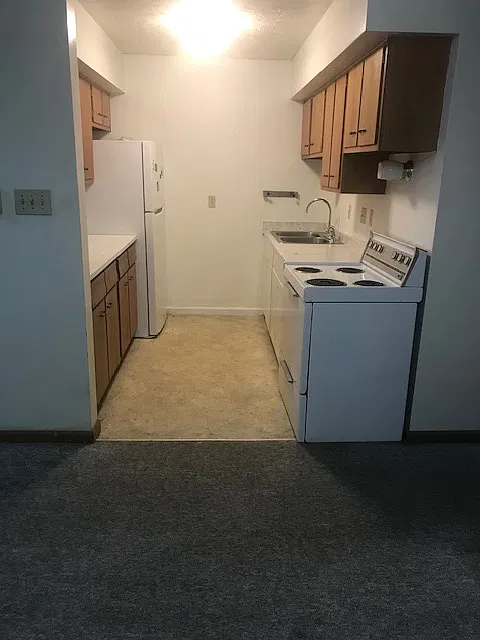 1 bed, $600 — Photo 4