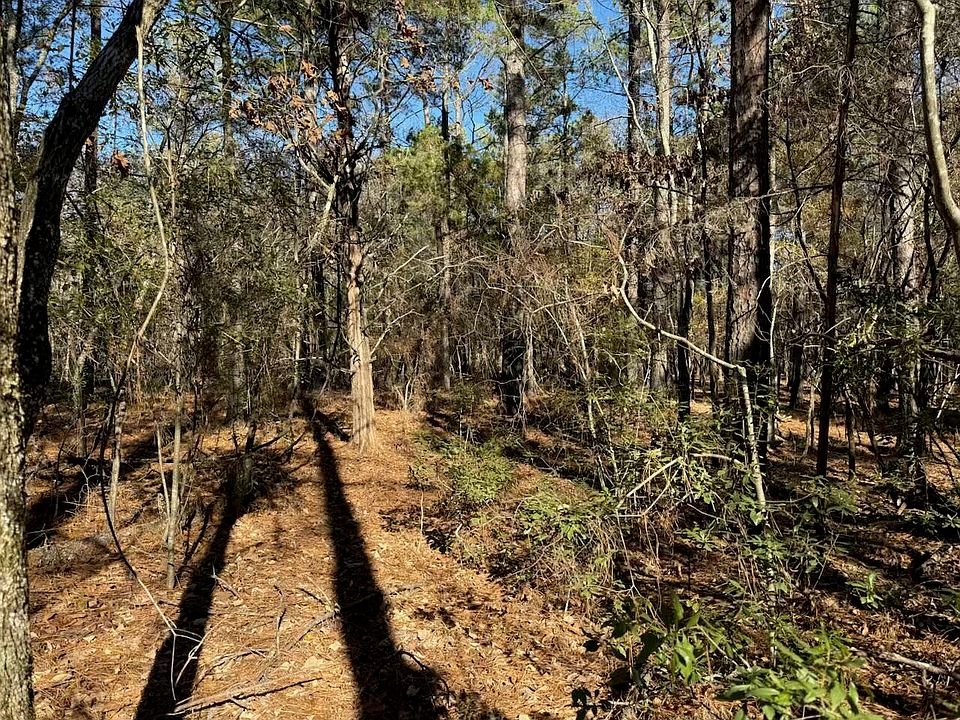 2nd image of 0 Pineywoods Road