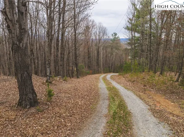 TBD Lot 1 All Healing Springs Road, Taylorsville, NC 28681
