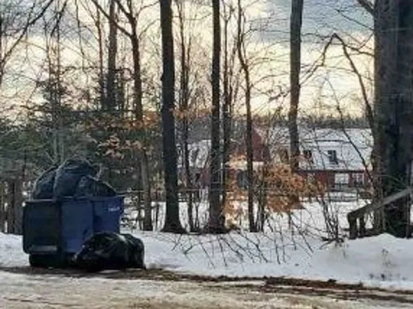 5575 Twin Peaks Rd, Frederic, MI 49733