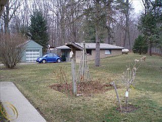 2nd image of 20005 Westview Dr