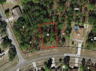 46 Corkwood Blvd, Homosassa, FL 34446