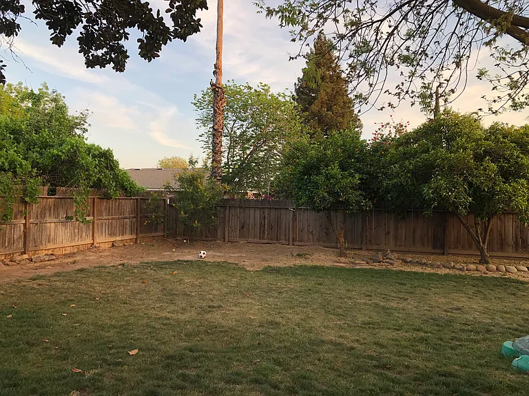 641 E Magill Ave — Photo 20
