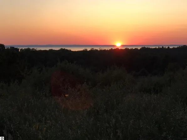 Tbd Farrell Rd, Central Lake, MI 49622