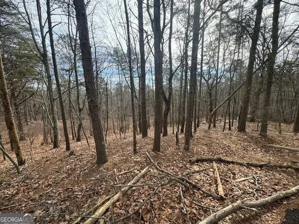 117 Leopard Ct, Waleska, GA 30183