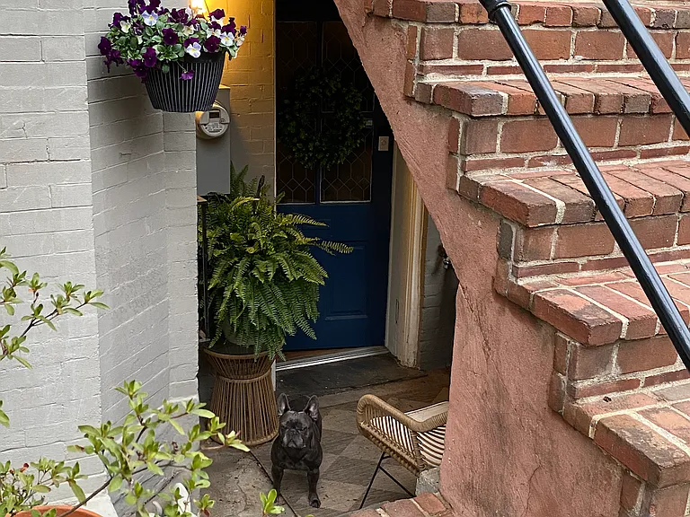 512 Constitution Ave NE #B — Photo 8