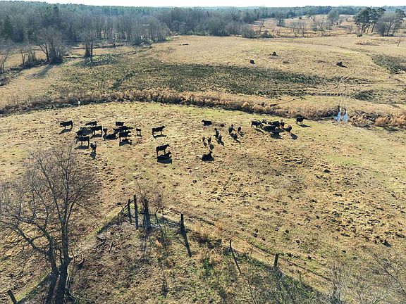 3rd image of Squirrel Rd