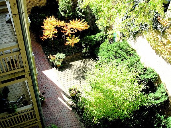 2nd image of 903 S Cuyler Ave APT 1