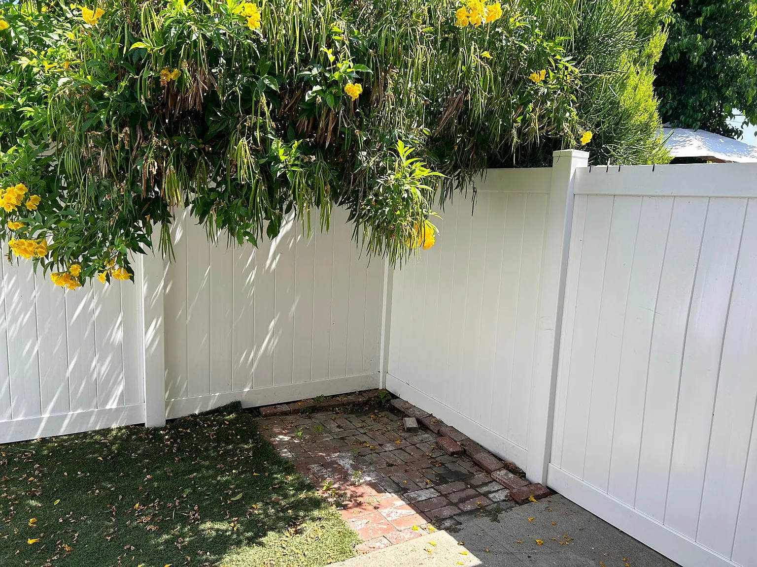 1426 N Hollywood Way — Photo 3