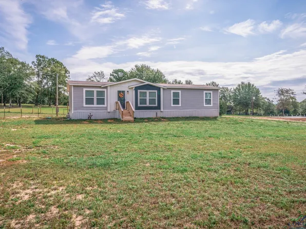 3535 Narcissus Rd, Ore City, TX 75683