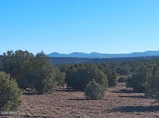 19 County Road 8285 N, Concho, AZ 85924