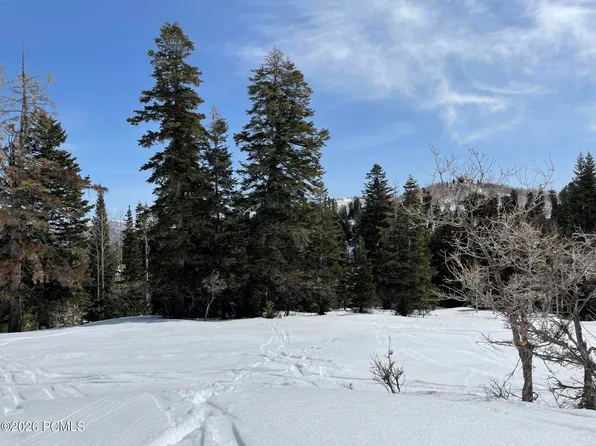 2271 Deer Loop #46, Coalville, UT 84017