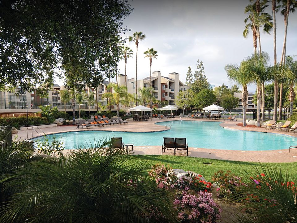Pool and Spa