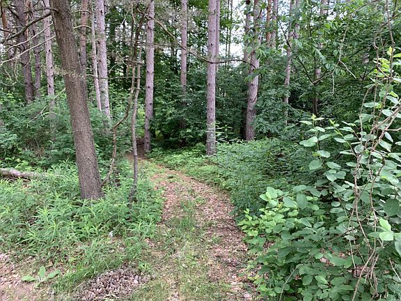 5th image of LOT 264 Pontiac Dr