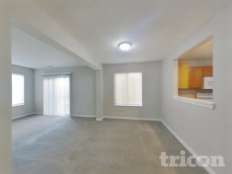 557 Cembra Dr — Photo 4
