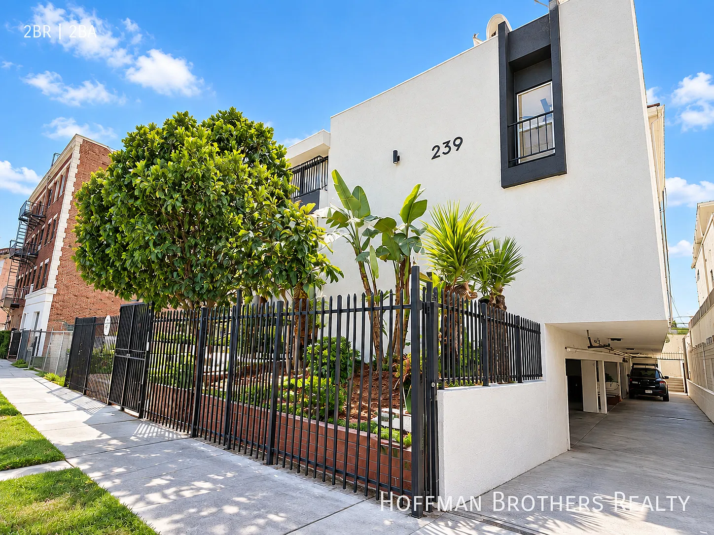 239 S Harvard Blvd Los Angeles, CA 90004 — Photo 3