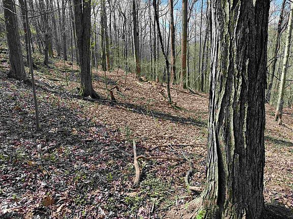 5th image of Behlar Rd