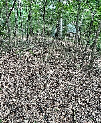 3rd image of 330 English Rd