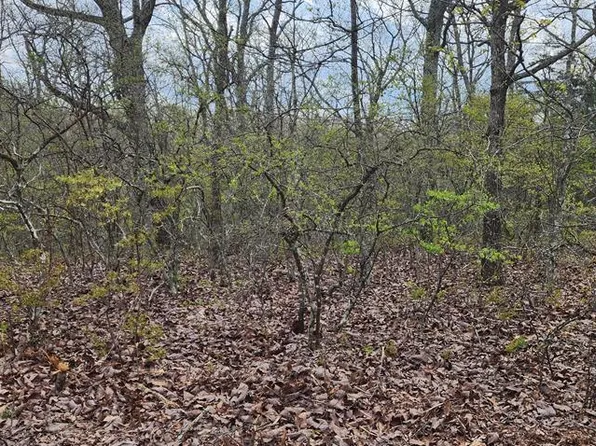 Id71 Riverview Rd, Holladay, TN 38341