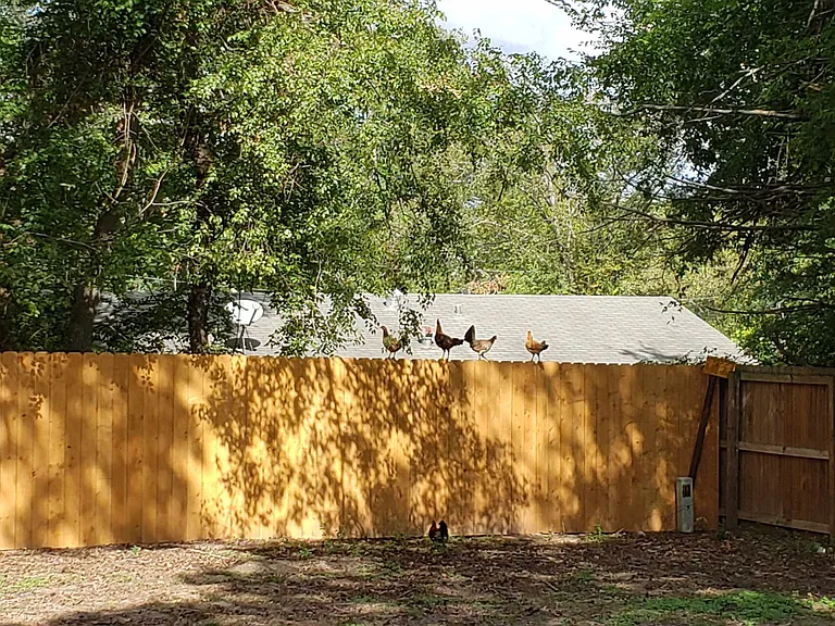 2312 Smuts Dr — Photo 37