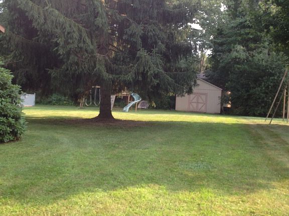 Side yard looking at shed