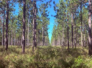 0 Susan Mercer Rd, Dawson, GA 39842