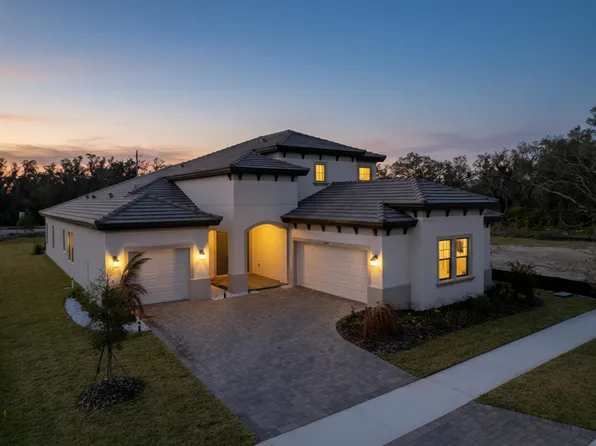 13407 Buffalo Mountain Ave, Riverview, FL 33579