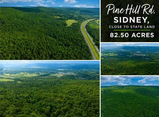 0 Pine Hill Rd, Sidney, NY 13838