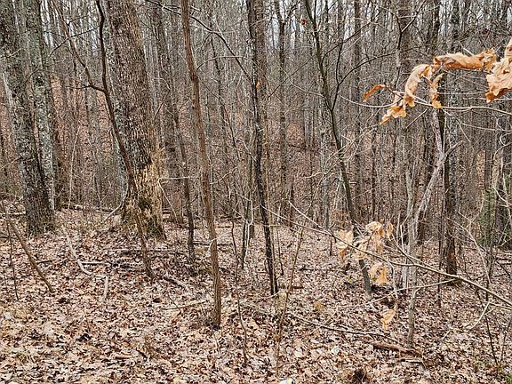 4th image of 2225 King Hollow Rd