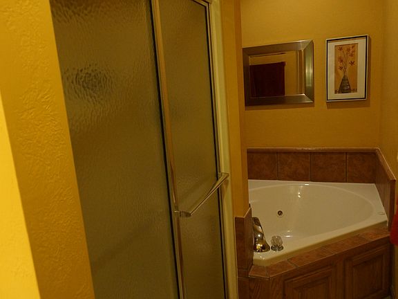 Master Bath Shower and Tub