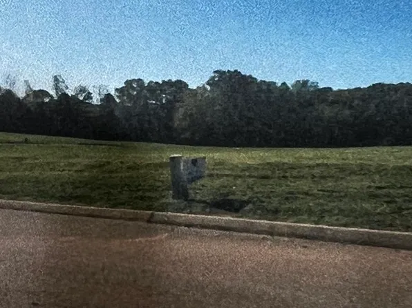 100 Shiloh Springs Rd, Rutledge, TN 37861