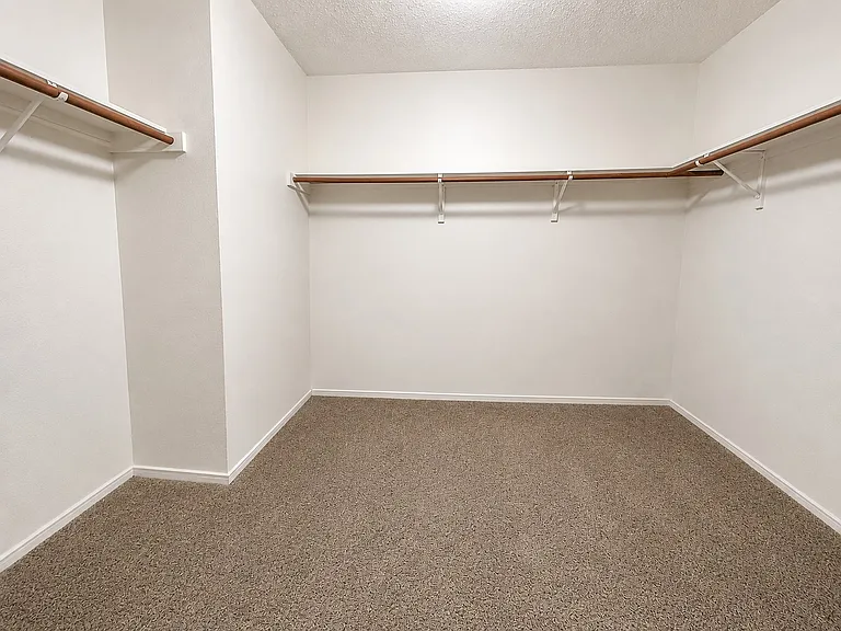 Master walk-in closet