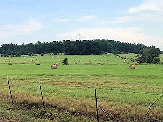 2nd image of 549 Ancounty Rd #341