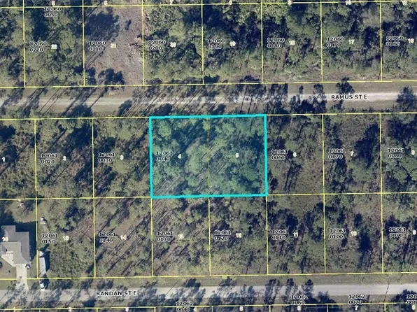 1216 Ramus St E, Lehigh Acres, FL 33974