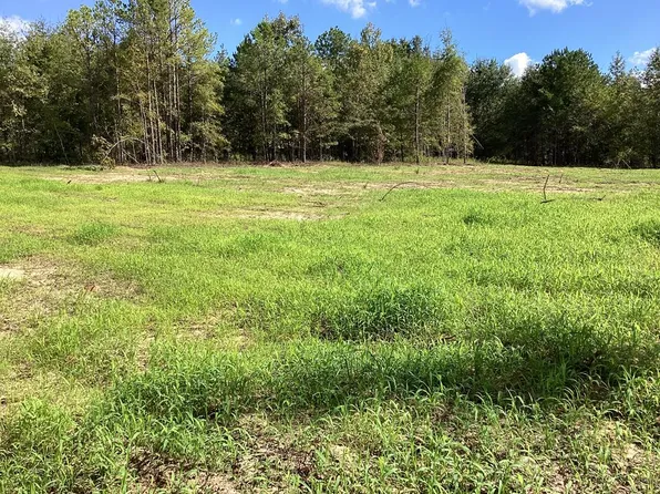 510 Adams Ln, Highland Home, AL 36041