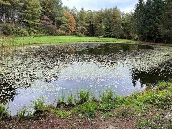8248 Gallagher Rd Lot 9, Prattsburgh, NY 14873