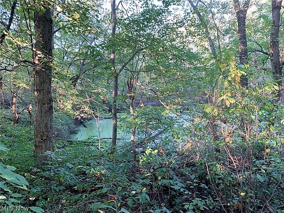 3rd image of 167 Township Rd