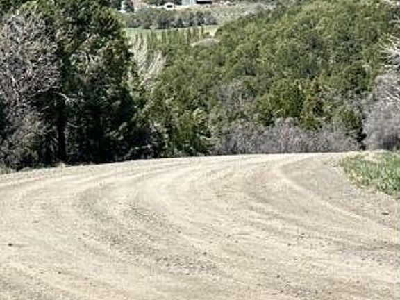 Exterior Neighborhood (street photo)