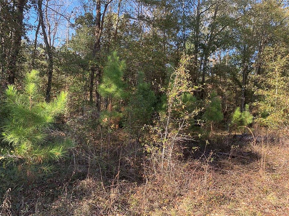 1st image of 134 Laurel Ln