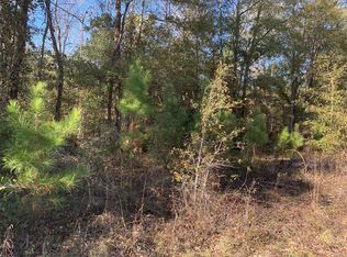 134 Laurel Ln, Livingston, TX 77351