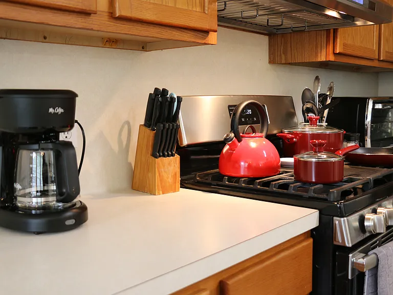 5603 Tiger Lilly Way — Photo 12