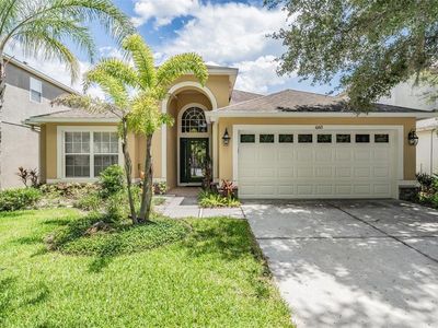 10613 Liberty Bell Dr, Tampa, FL, 33647