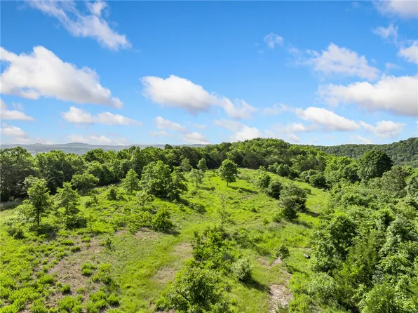19764 Dubuque Rd, Omaha, AR 72662