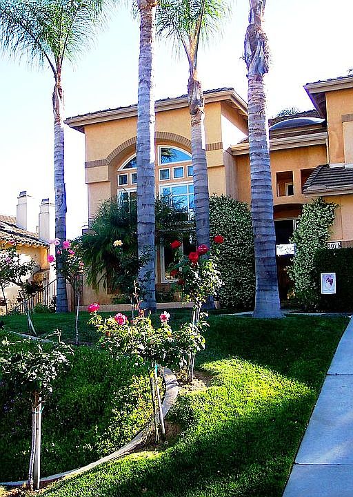 This lovely home has curb appeal! LOOK at the palms and roses, beautiful pride