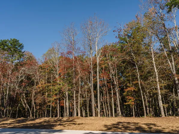 3308 River Gorge Dr Lot 1409, Chattanooga, TN 37419