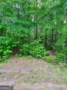 0 Van Buren Rd, Barnesville, GA, 30204