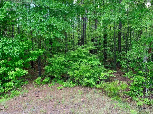 0 Van Buren Rd, Barnesville, GA 30204